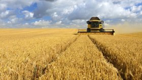 На Дону собрано более 15 миллионов тонн зерновых 